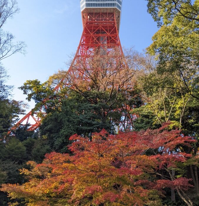 Touring around the Tokyo Tower in autumn