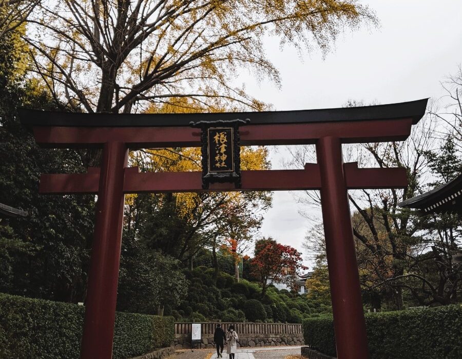 Historical Tokyo Tour Nezu Shrine