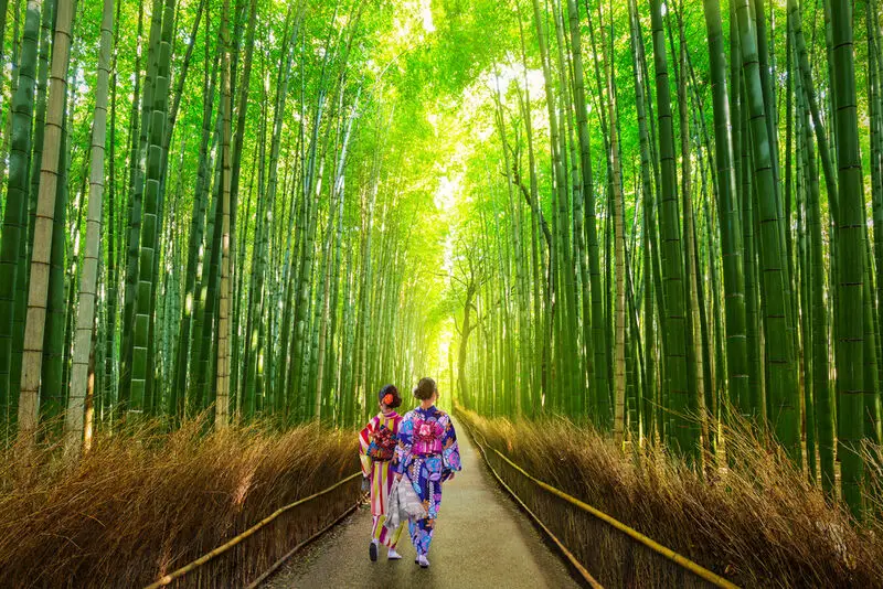Walking through the Bamboo forest in Arashiyama