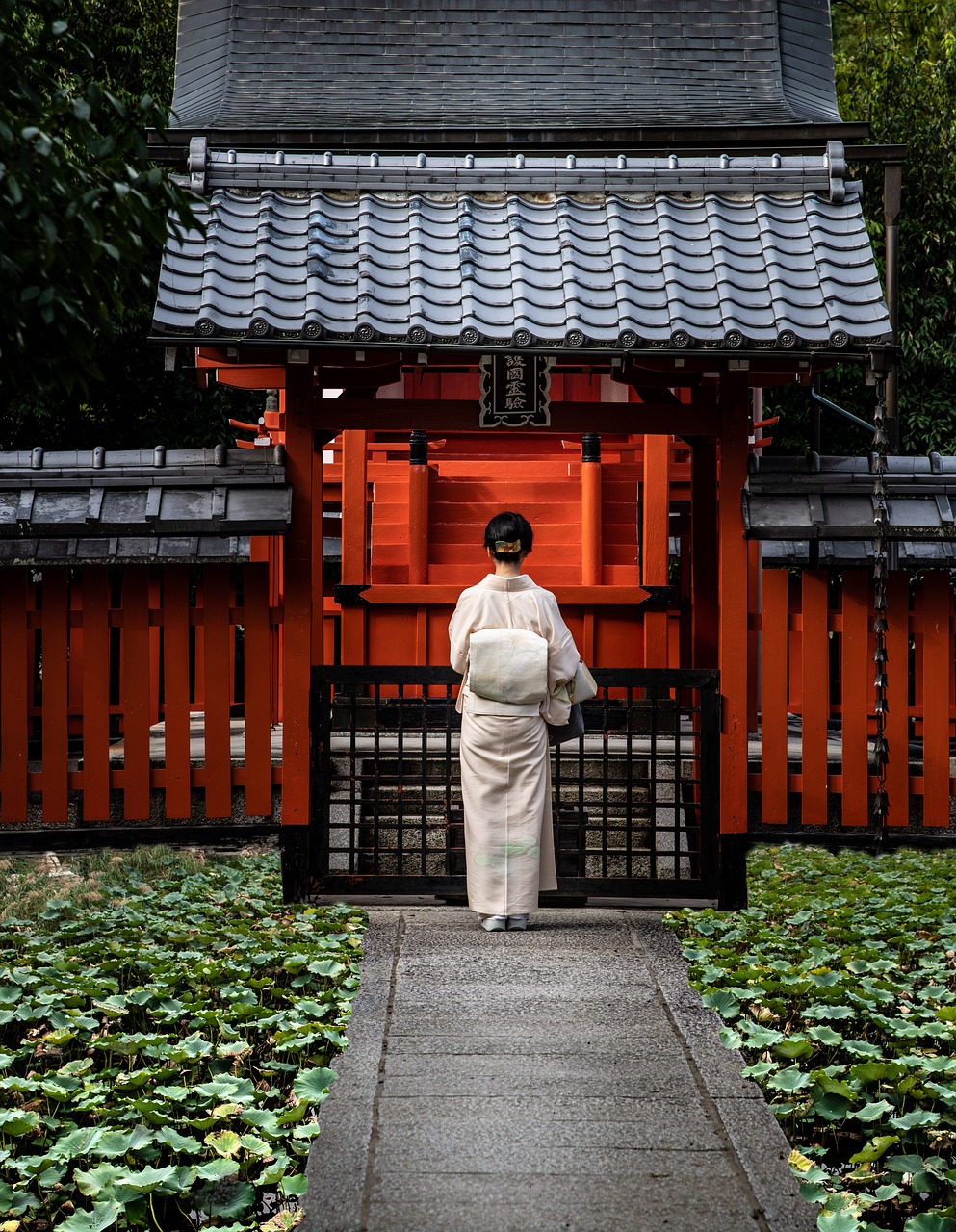 Kyoto lady dressed in a traditional kimono