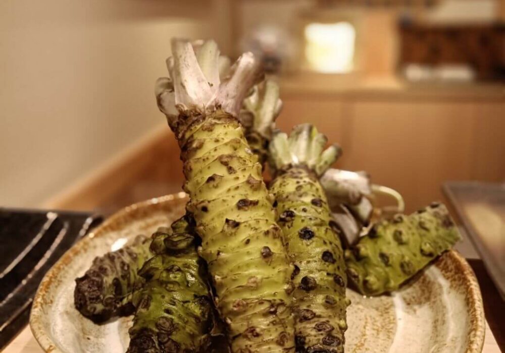 learning about wasabi at sushi making class in Tokyo